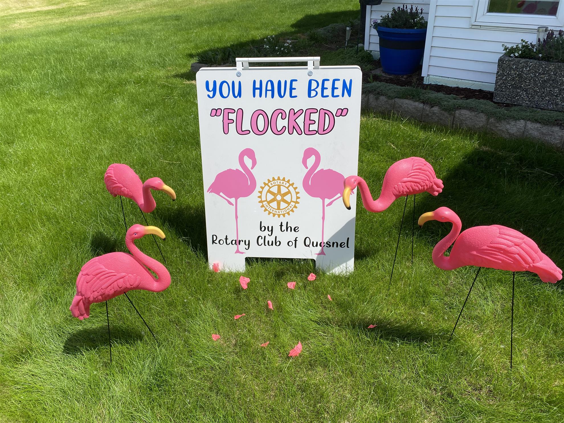 Get Flocked! Rotary Club of Quesnel